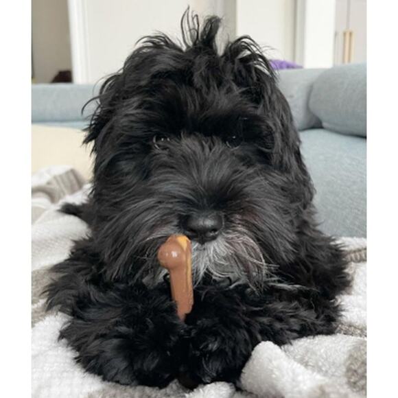 Nylabone Flavor Frenzy Power Chew Dry Dog Toy, Chili Cheese Dog Popcorn & Cherry - Picture 3 of 4